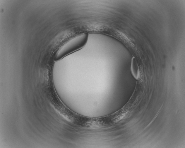 X0000060580211200512011741