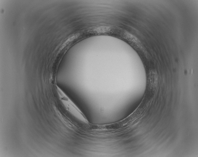 X0000060580212200512011741