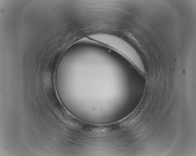 X0000060580213200512011741