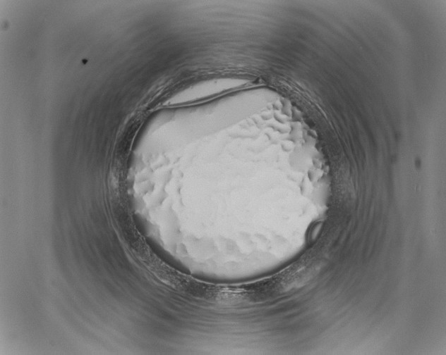 X0000060580214200512011741