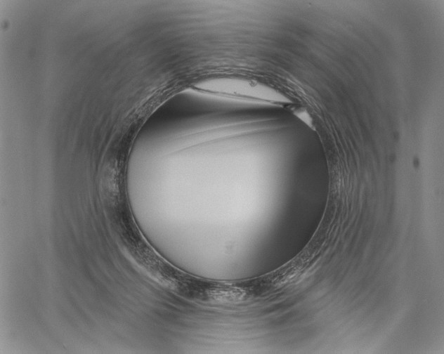 X0000060580215200512011741