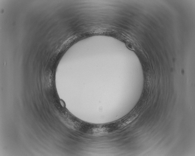 X0000060580216200512011741