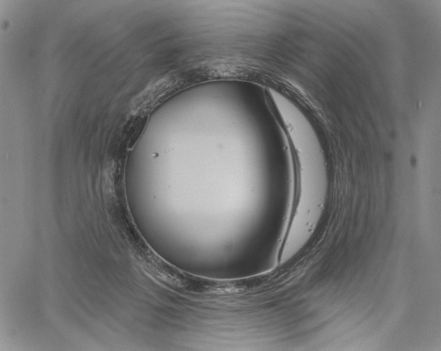 X0000060580217200512011741