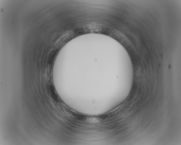 X0000060580218200512011741