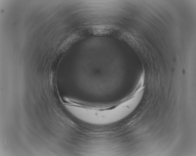 X0000060580219200512011741