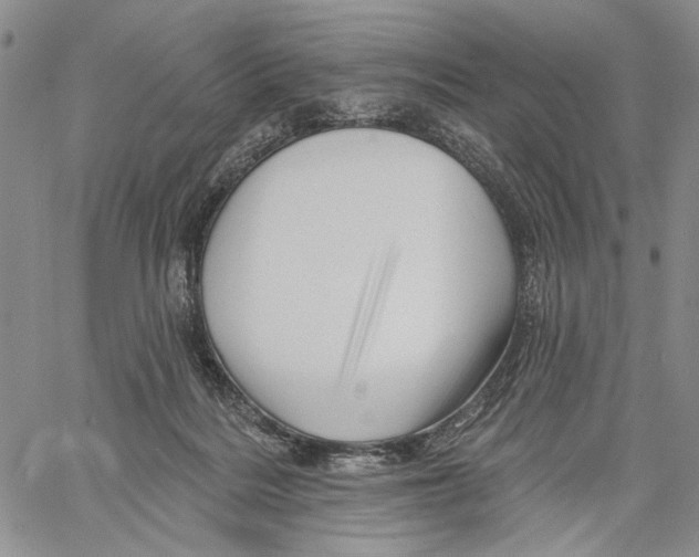 X0000060580220200512011741