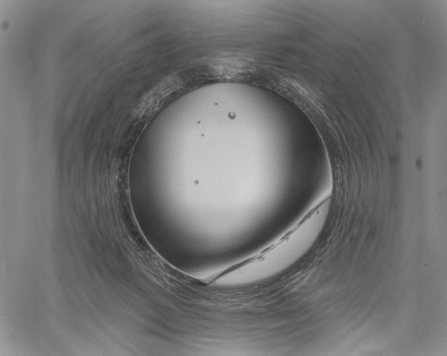 X0000060580221200512011741