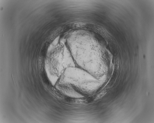 X0000060580222200512011741