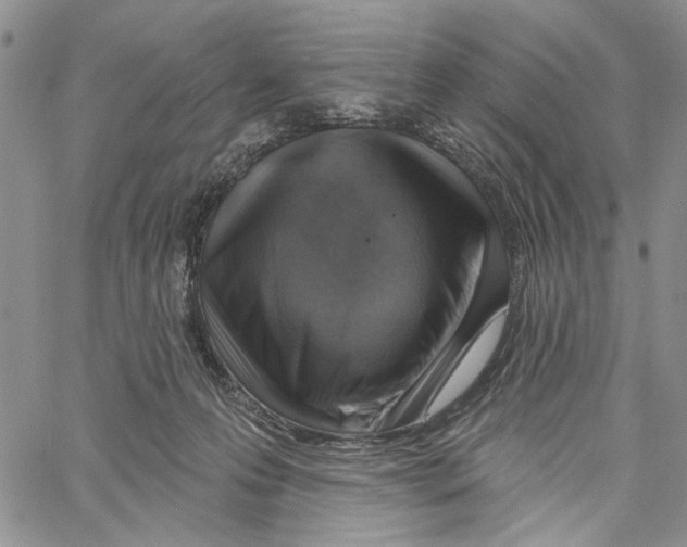 X0000060580223200512011741