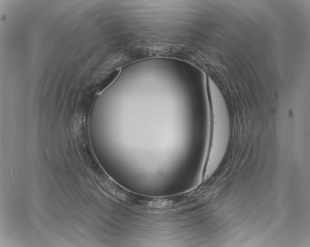 X0000060580225200512011741