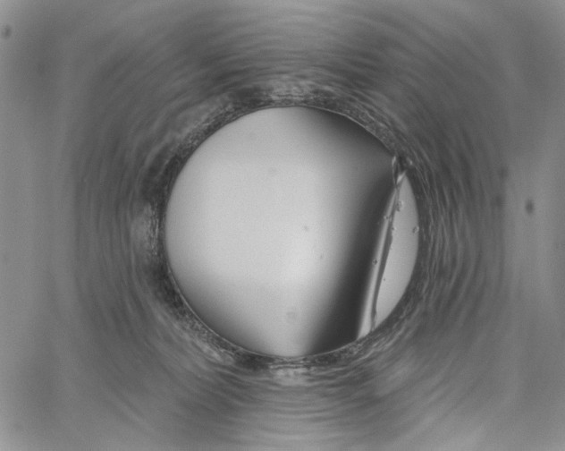 X0000060580228200512011741