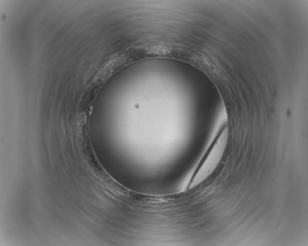 X0000060580229200512011741