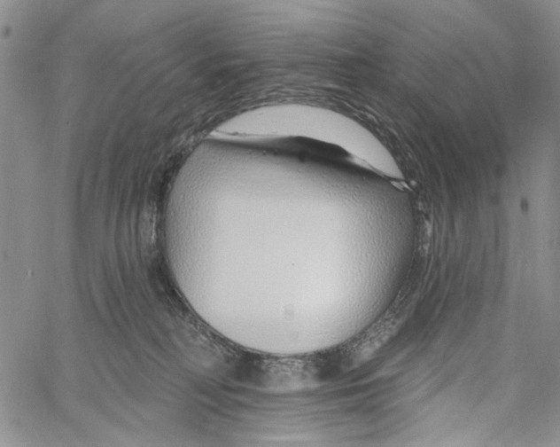 X0000060580230200512011741