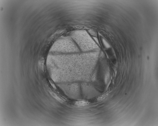 X0000060580231200512011741