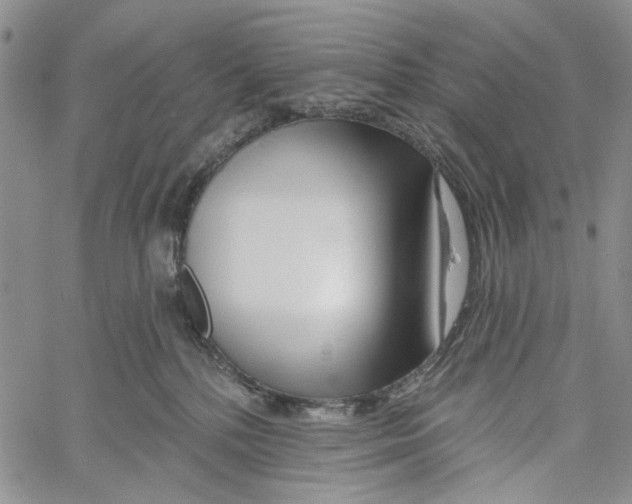 X0000060580232200512011741