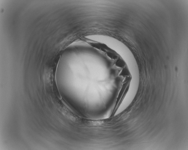 X0000060580233200512011741