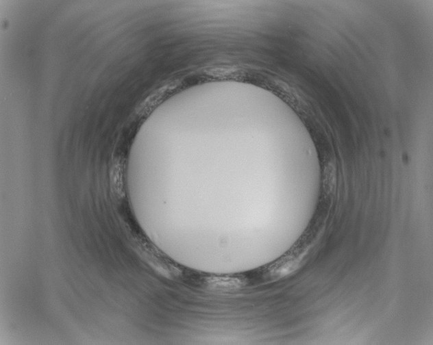 X0000060580234200512011741