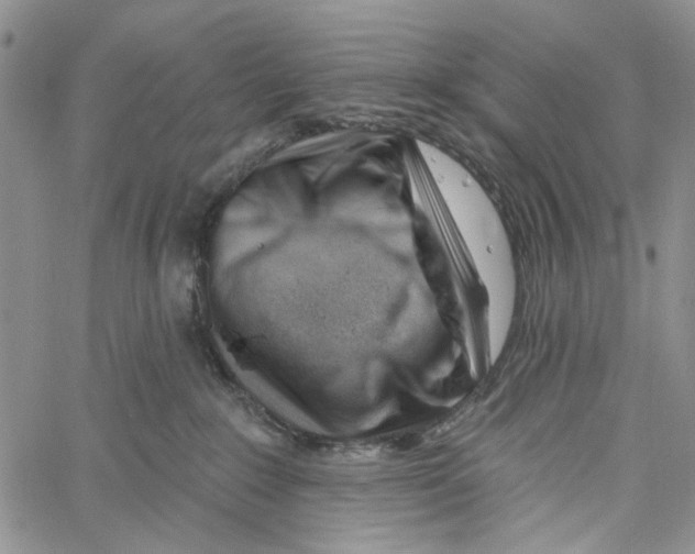 X0000060580235200512011741