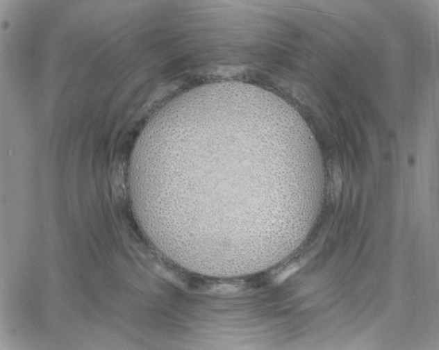 X0000060580236200512011741