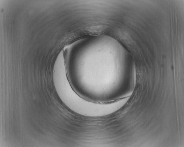 X0000060580237200512011741