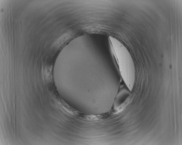 X0000060580239200512011741