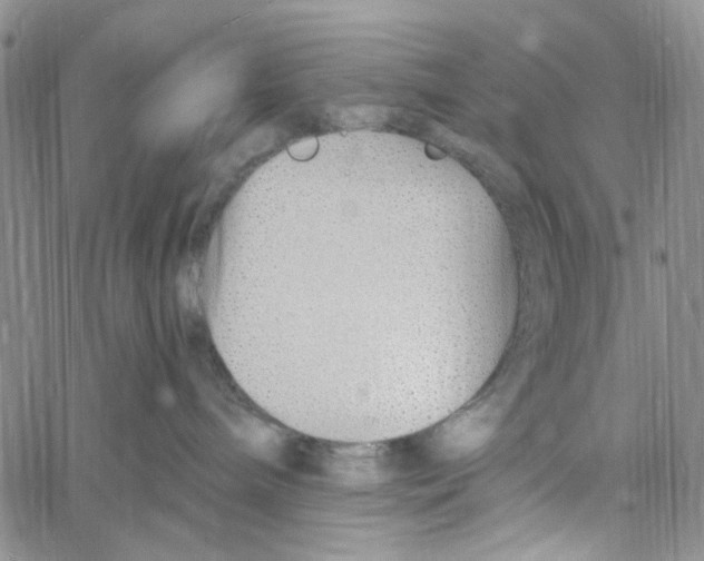 X0000060580240200512011741