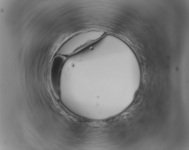 X0000060580241200512011740