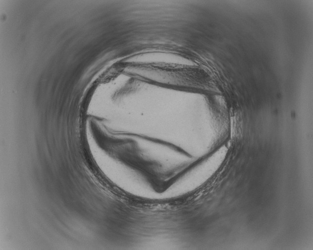 X0000060580243200512011740