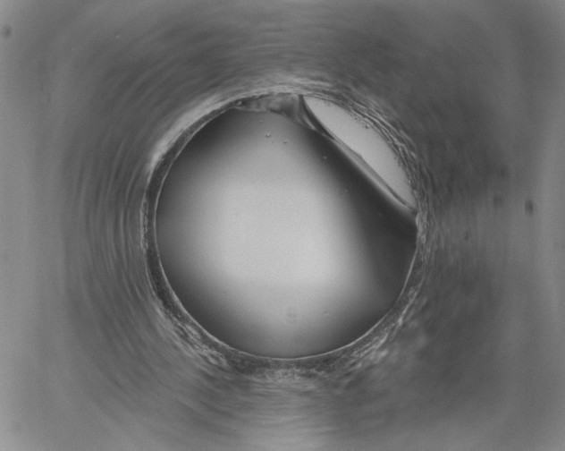 X0000060580244200512011740