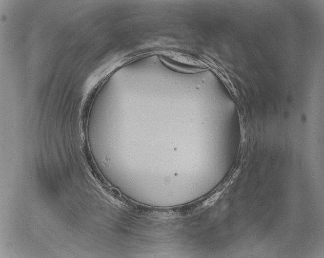 X0000060580245200512011740