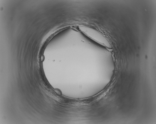 X0000060580246200512011740