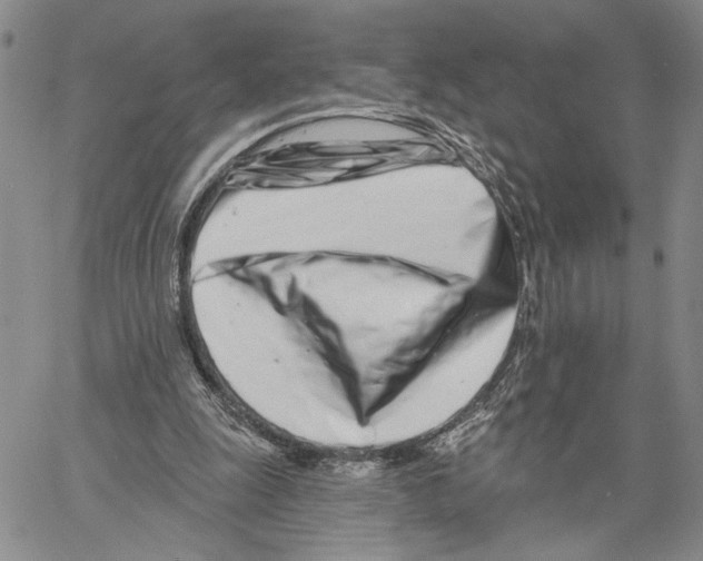 X0000060580247200512011740