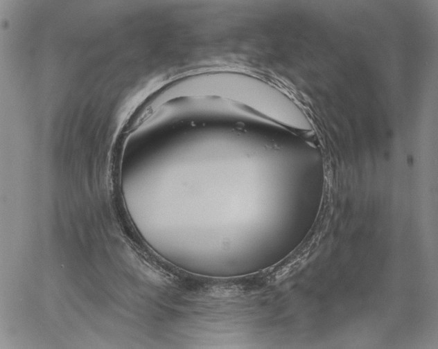 X0000060580248200512011740