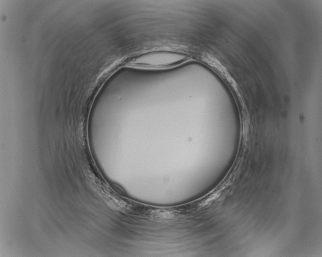 X0000060580249200512011740