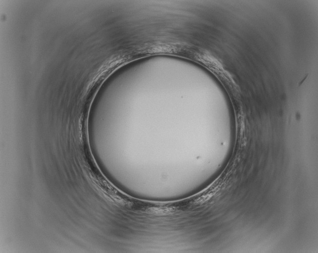 X0000060580250200512011740