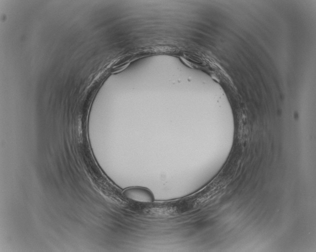 X0000060580251200512011740