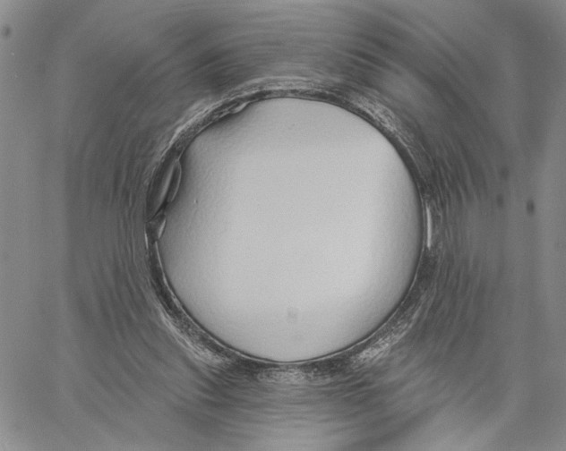 X0000060580253200512011740