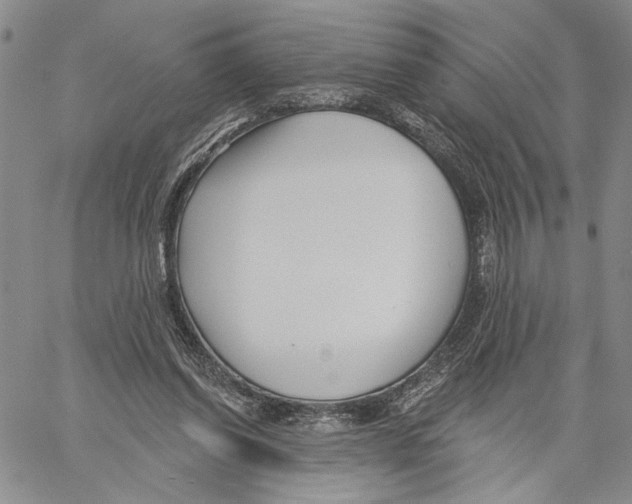 X0000060580254200512011740