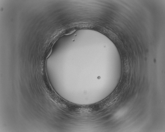 X0000060580255200512011740