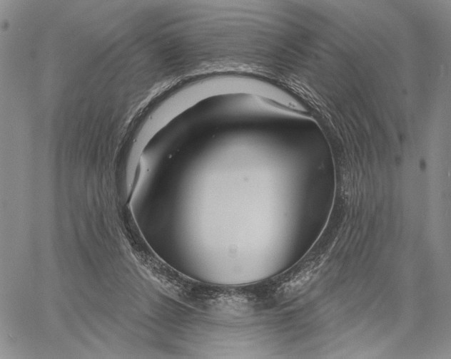 X0000060580256200512011740