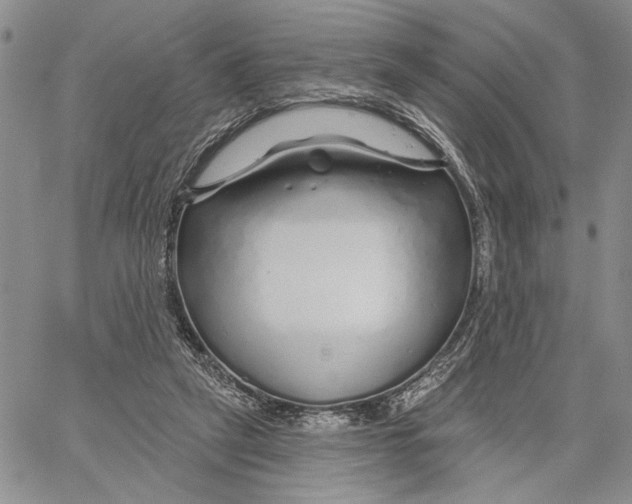 X0000060580257200512011740