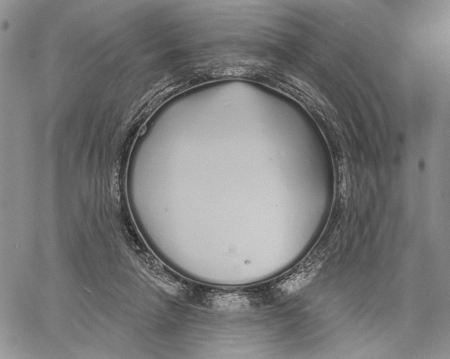 X0000060580258200512011740