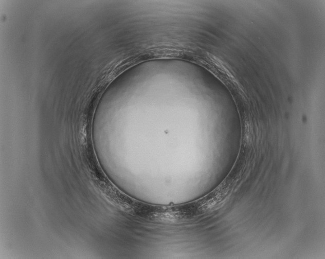 X0000060580259200512011740