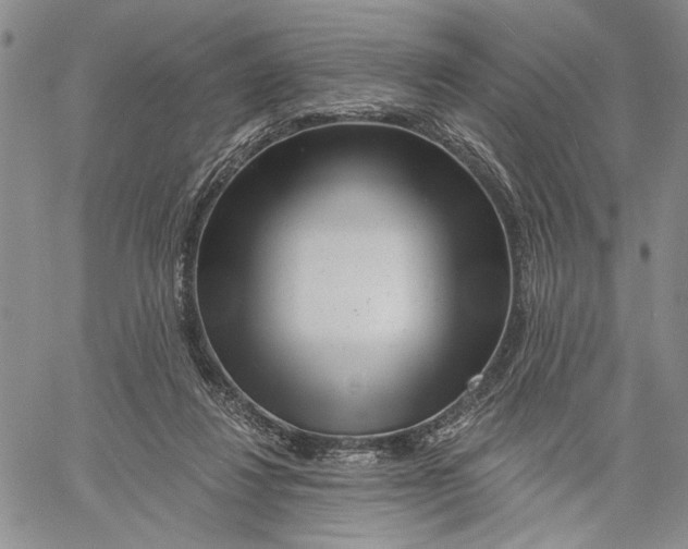 X0000060580260200512011740