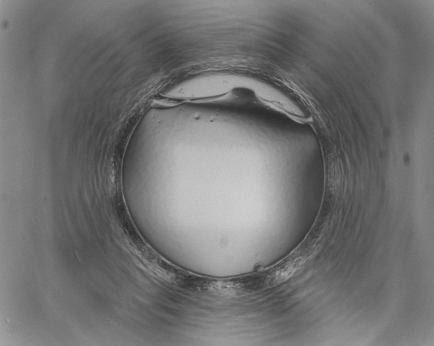 X0000060580261200512011740