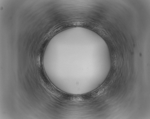 X0000060580262200512011740