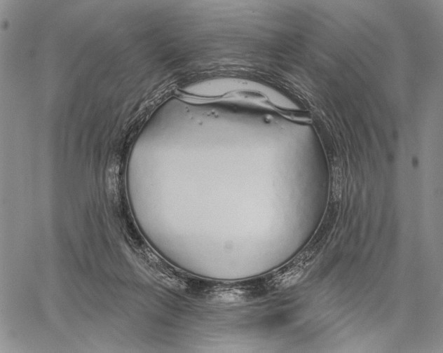 X0000060580263200512011740