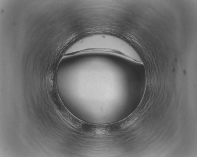 X0000060580264200512011740