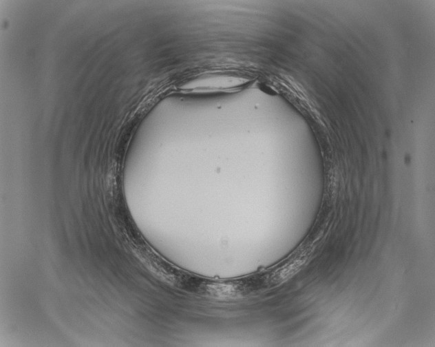 X0000060580265200512011740