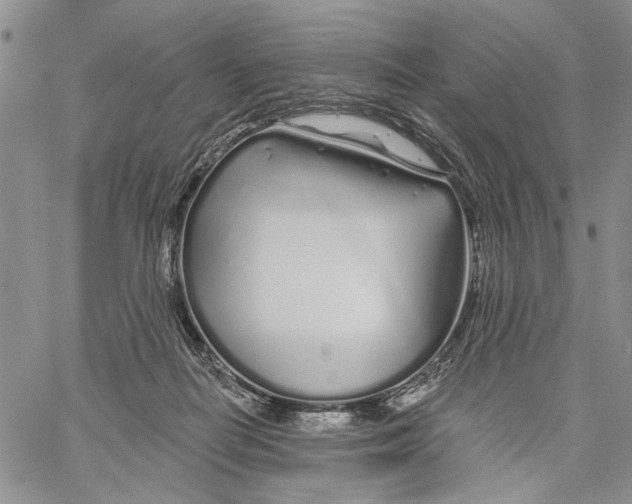 X0000060580266200512011740